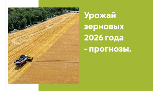Урожай зерновых 2026 года прогнозы и влияние на цены оптовых поставок