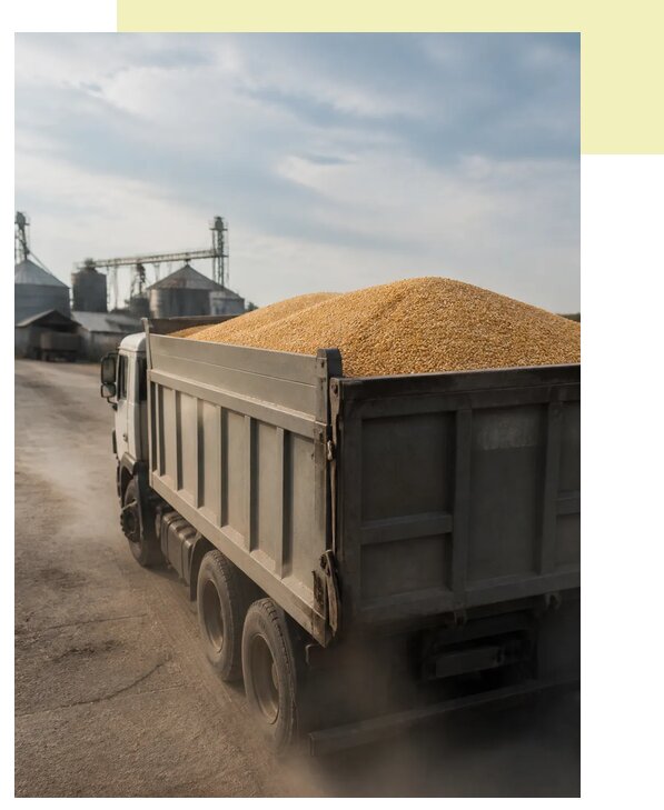 Перевозка сельхозпродукции навалом в Москву по цене от 3233 р. | АгросервисМск