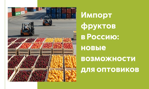 Импорт фруктов в Россию: новые возможности для оптовиков в 2026 году